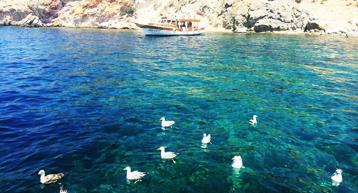 En Uygun Ayvalık Tekne Turu